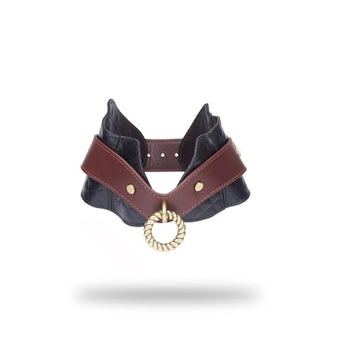 Equestrian Leather Posture Collar and Leash