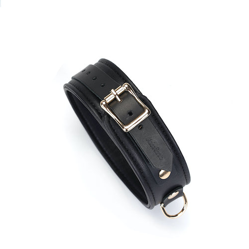 Black Onyx Leather Collar and Leash