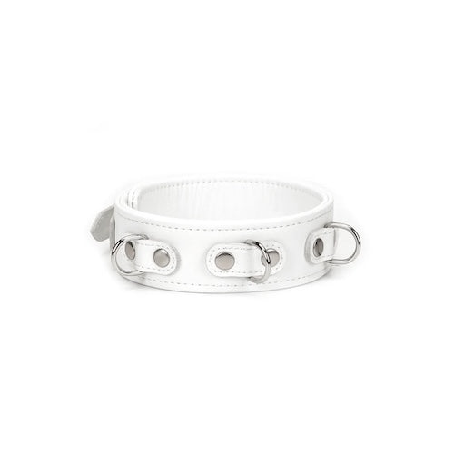 Icy White Leather Collar and Leash